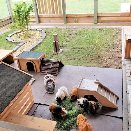 Wiesenhaus 3 Prázdninový dům Fehmarn